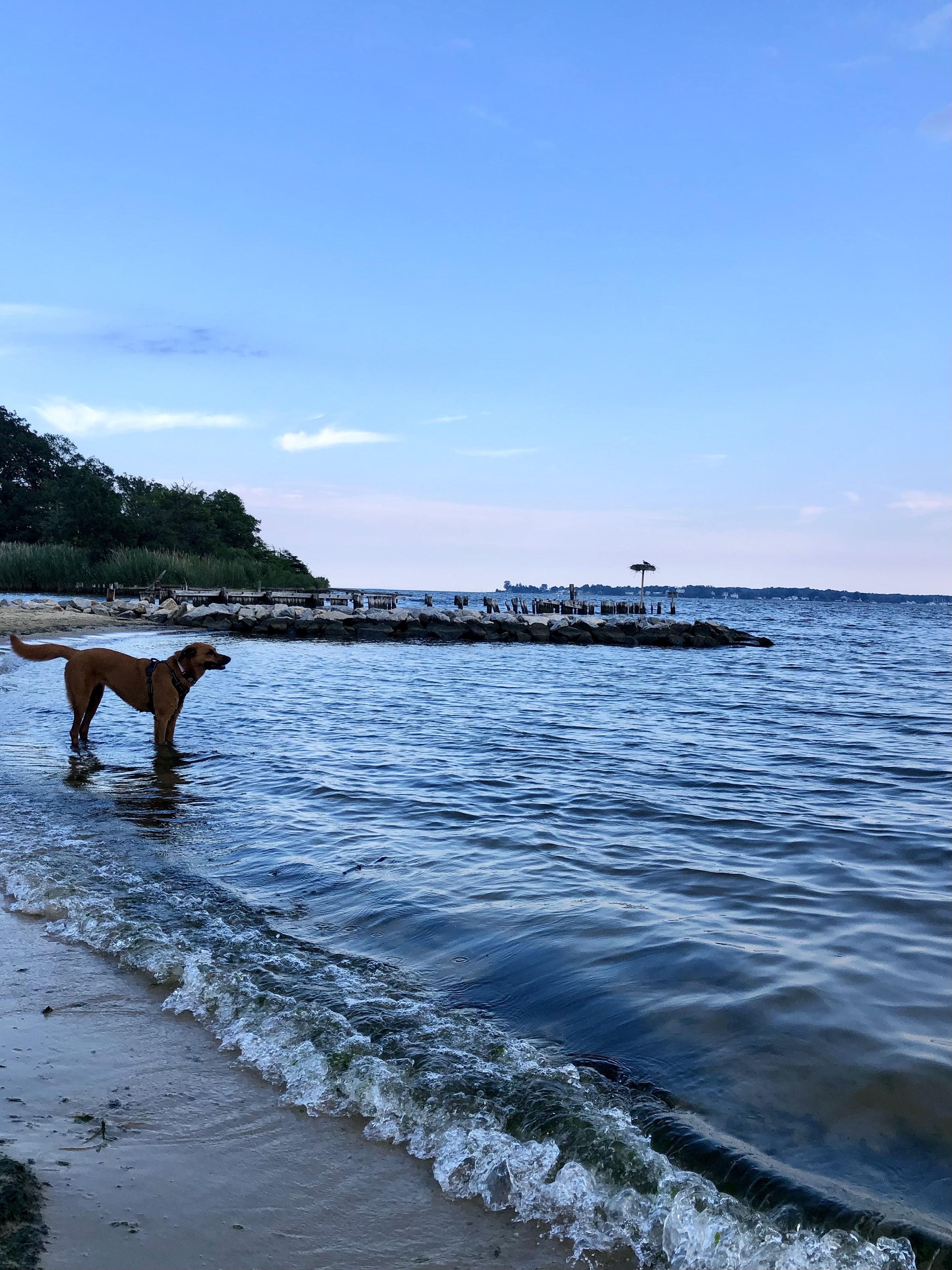 Quiet Waters Park